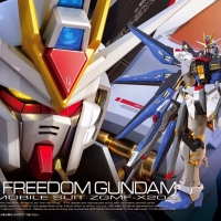 1061617 RG 1/144 ZGMF-X20A STRIKE FREEDOM GUNDAM