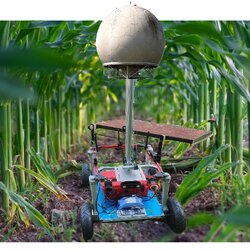 หุ่นยนต์เรดาร์หาหนอนร่องข้าวโพด