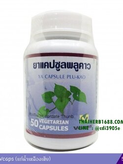 พลูคาว 50 แคปซูล Vcaps