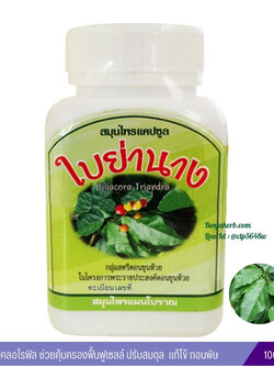 แคปซูลใบย่านาง สมุนไพรดวงพร (100 แคปซูล)