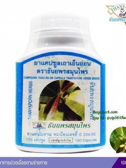 แคปซูลเถาเอ็นอ่อน ธันยพรสมุนไพร (100 แคปซูล)