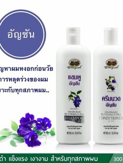 ชุดแชมพูอัญชัน+ครีมนวด อภัยภูเบศร