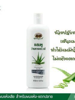 แชมพูว่านหางจระเข้ อภัยภูเบศร