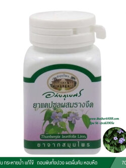 แคปซูลรางจืด อภัยภูเบศร