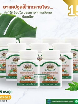 แคปซูลฟ้าทะลายโจร อภัยภูเบศร 9 กระปุก (ลด 12%)