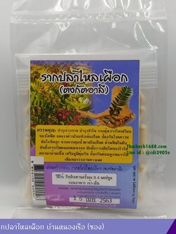 แคปซูลรากปลาไหลเผือก บ้านหนองเรือ 70 แคปซูล (ซอง)