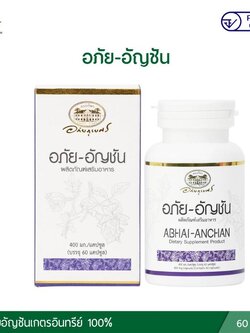 อภัย-อัญชัน อภัยภูเบศร