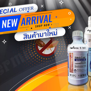 ยากำจัดปลวก สูตรตายยกรัง (แบบไม่ขับไล่ปลวก)