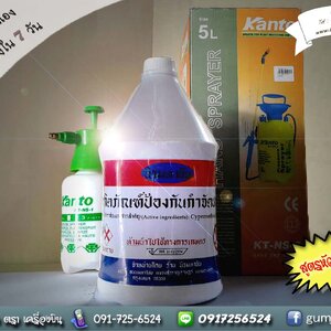 ยากำจัดปลวก ตราเครื่องบิน (ชนิดน้ำ)