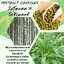 PHYTOACT COSYPLEX ช่วยลดการระคายเคือง และต่อต้านการอักเสบ ลดการแพ้ ขนาด 50 ML