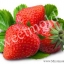 สครับ สตอเบอรี่ strawberry 002015