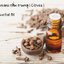 น้ำมันหอมระเหย กลิ่น กานพลู ( Cloves ) Essential Oil