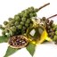 Castor Oil น้ำมันละหุ่ง ขนาด 1 Kg
