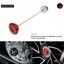 กันล้มหลัง Evotech Rear Spindle Bobbins - Ducati Diavel V4 (2023+)