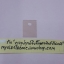 แผ่นไมก้าใสสี่เหลี่ยมใหญ่TO-3P/TO-247
