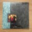 แผ่นเสียง Nirvana – Nevermind ** Limited Edition, (30th Anniversary)+ Vinyl, 7", 45 RPM แผ่นเสียงมือหนึ่ง ซีล