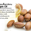 น้ํามันอาร์แกนออย﻿ ออร์แกนิค Argan Oil ขนาด100ML. : 007469