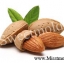 หัวน้ำหอมกลิ่นอัลมอนด์ Almond ขนาด100ML : 007921