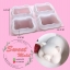 พิมพ์รูปหมูนอน 4ช่อง 110กรัม : 006934