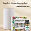 ชุดเซตน้ำมันหอมระเหย แท้100 % ขนาด 10 ML. Essential Oils